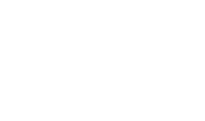 Fluent Conveyors Trusted Dealer, Action