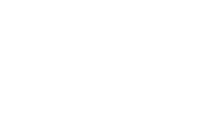 PPI partner logo