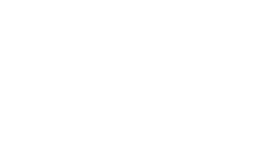 Wago- Fluent Conveyors partner