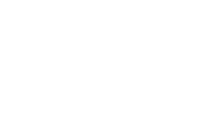 Diamond - Fluent Conveyors partner