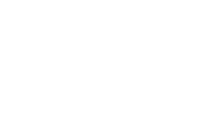 Flexo - Fluent Conveyors partner